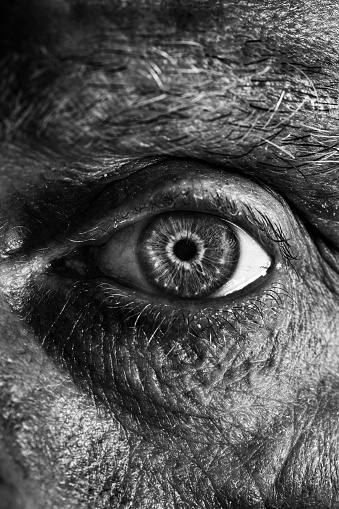 Black and white toned image depicting an extreme close up macro view of the eye of a senior man in his 70s. The man has blue eyes and they are a little bit bloodshot with the capillaries visible.