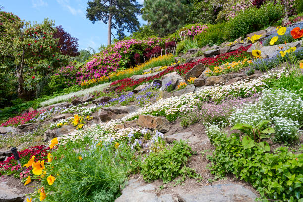 Staircase with beautiful flowers on isle of Mainau