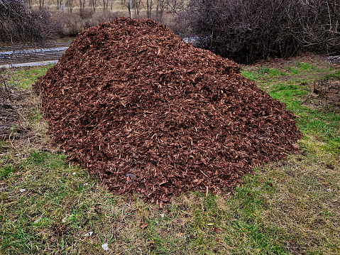 mulch bark from pieces of pine and spruce to prevent weeds from growing and germinating gardener carries it on the back of a delivery van man's hand evaluates the quality of pieces of mulch, mulched, mulching