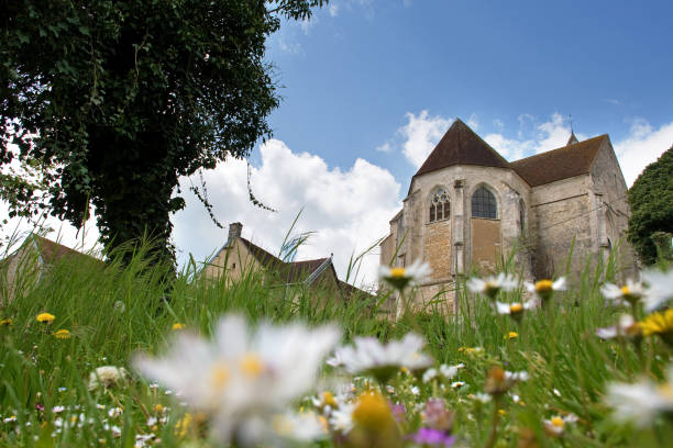 Saint-Aventin church in Mélisey, Bourgogne, with meadow Saint-Aventin church in Mélisey, Bourgogne, back view with meadow avallon stock pictures, royalty-free photos & images