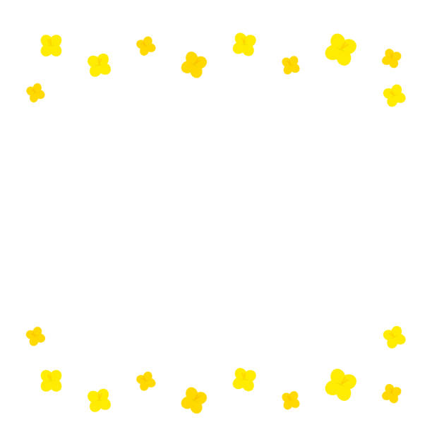 Simple Canola Flower Frame A simple and cute frame of yellow canola flowers. free school borders clip art stock illustrations