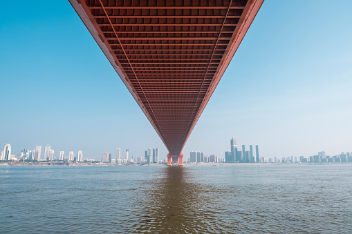 Parrot island Yangtze River Bridge in wuhan china