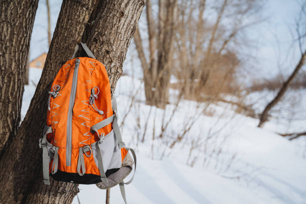 istock Orange backpack with multiple compartments hanging on snowy tree in winter forest landscape 2007859286