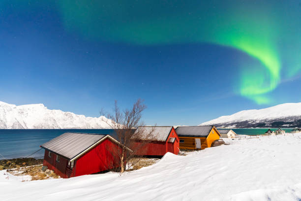 istock Traditional rorbu under Northern Lights, Norway 2007864677