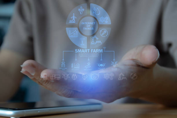 istock Concepts of using AI and smart farming, increasing productivity and controlling production. 2007874833
