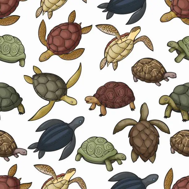 Vector illustration of Sea turtle animals seamless pattern background