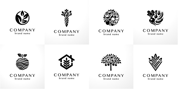 Elegant high quality icon vector set useful for agriculture and farm organic products in vector set