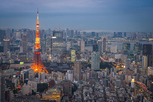 The iconic spire of the Tokyo Tower spotlit at dusk above the illuminated urban streets and crowded cityscape of central Tokyo, Japan.