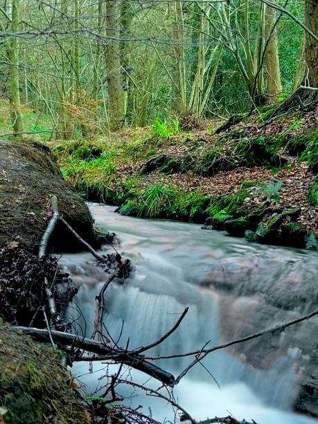 istock Long exposure flowing water of a stream running through a forest at County Durham 2007920148