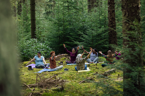 A wide angle view of a group of people taking part in a yoga session in northumberland in the North East of England. They are in a forrest and grounding as they do meditation and yoga and breathing exercising.
