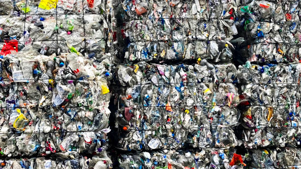 istock Waste at a recycling Plant 2007932462
