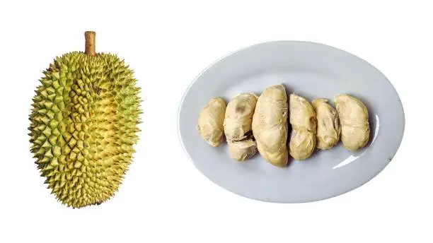 Photo of Fresh durian fruit on isolated white background