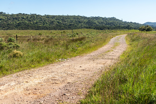 Dirty road in farm field, Cambara do Sul, Rio Grande do Sul, Brazil