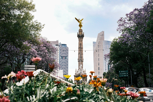 Mexico City, Mexico - 2021/09/19: Angel Independencia Mexico City, Mexico during Jacaranda season