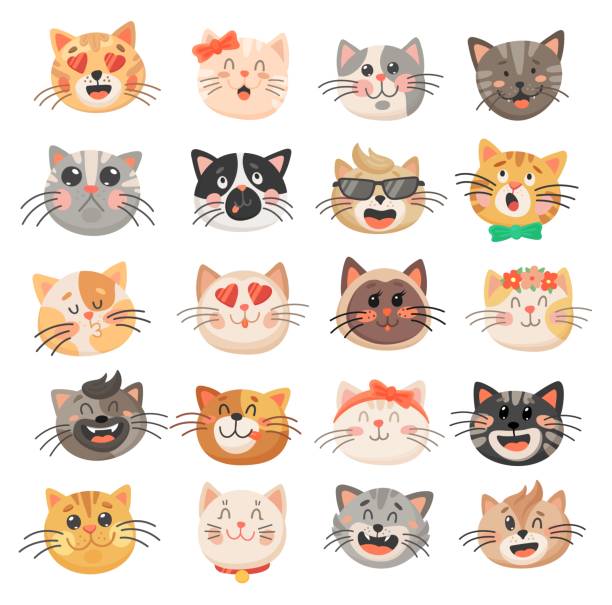 Cute cat faces, kitten or kitty animal emoticons Cat heads with cute faces, vector kitten emoticons. Funny kitty pet animal cartoon characters with different emotions and facial expressions, happy, sad, crazy, girly and loving emoji cat muzzle meowing cartoon stock illustrations