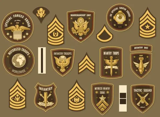 Vector illustration of United States army military vector officer chevron