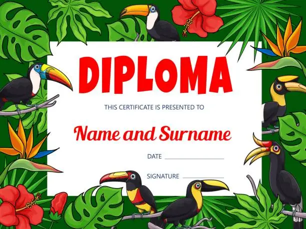 Vector illustration of Kids education diploma, toucan birds and jungle
