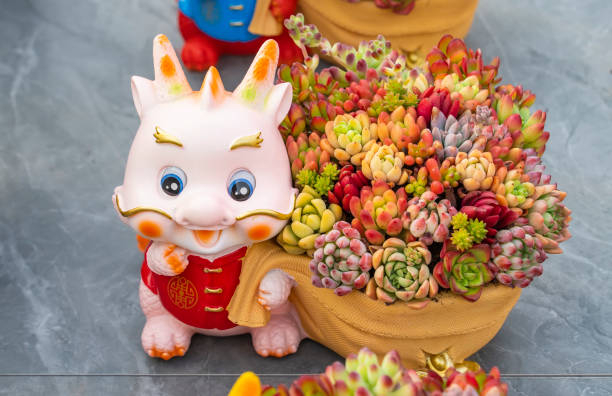 istock Miniature succulent plants in Tradition Dragon Chinese pot 2007980400