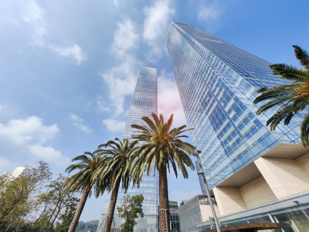 istock Highrise buildings on a blue sky with palm tree 2007983618