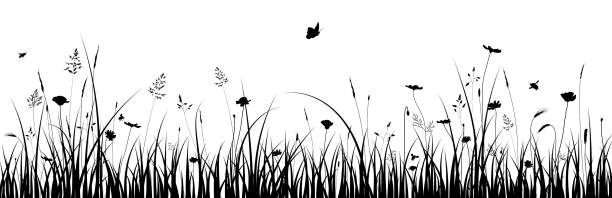 Meadow border illustration. Grass silhouette on isolated background with flowers, herbs, poppies, bees and butterflies. Spring, summer, Easter or ecology banner. Meadow silhouette border on isolated background. Springtime banner with wild herbs, flowers like poppies, bees and butterflies. plants and flowers silhouettes stock illustrations