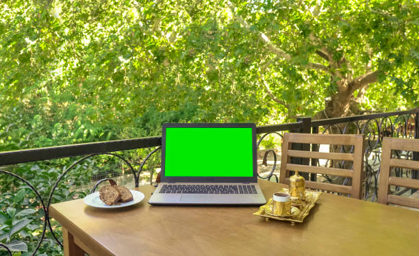 istock Working on the computer with coffee in nature - green screen 2008007930