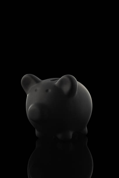saving money on black friday cutout