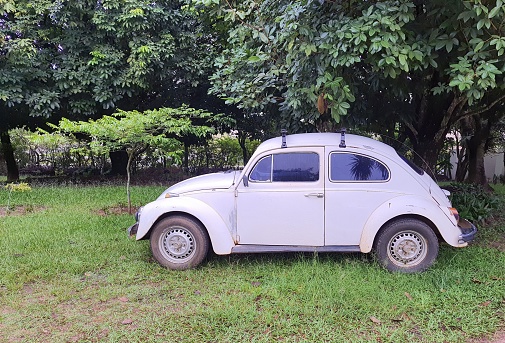 Classic Beetle, parked in a garden, side view. São Paulo, Brazil, December 18, 2023.
