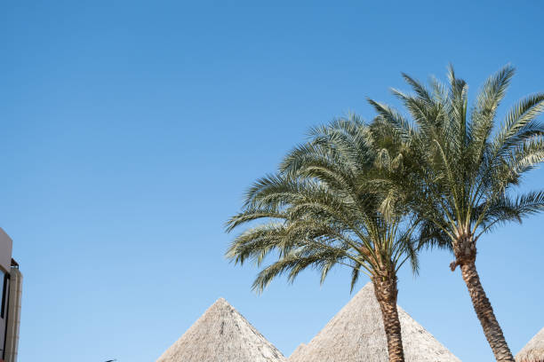           Tropical Caribbean Beach With Room For text                    