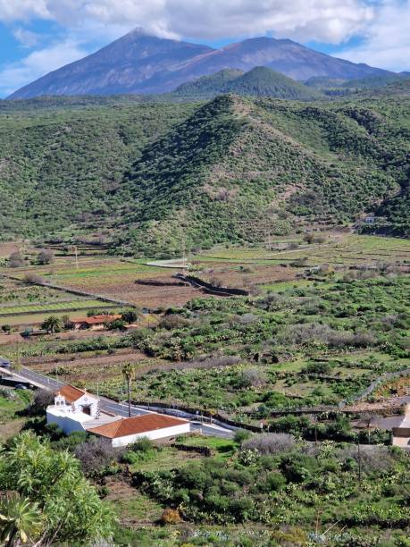 istock Teide volcano national park, Tenerife, Canary Islands, Spain 2008091214
