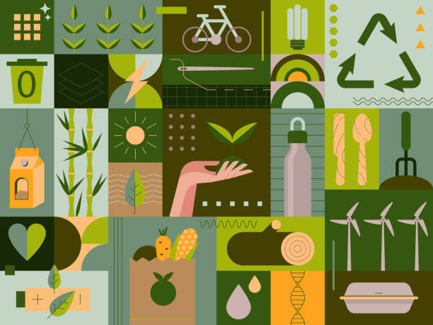 ilustrações de stock, clip art, desenhos animados e ícones de sustainability at home. zero-waste shopping, recycling, growing food, renewable energy, creating green spaces, ways to fight climate change, zero emissions vehicles, ways to fight climate change - sustentabilidade