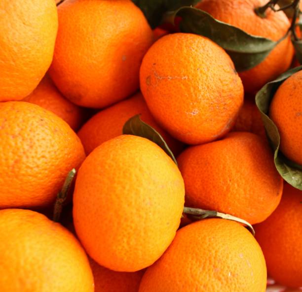 istock Organic fruits tangerines 2008127656