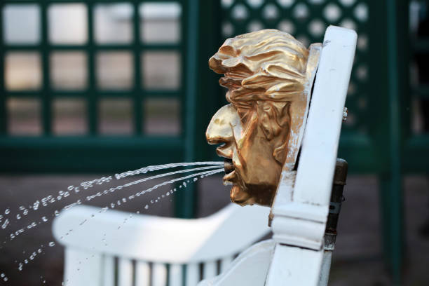an active fountain in Peterhof Park in close-up. photo
