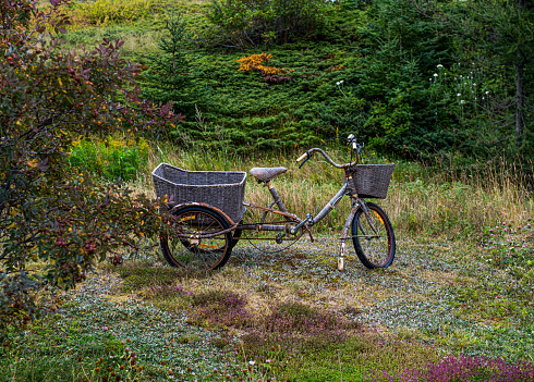 A very nice tricycle in a countryside environment
