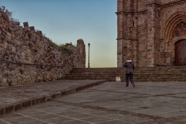 istock Mature woman enjoys a walk with her dog 2008259202