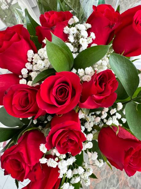 istock Red long stem roses for Valentines Day 2008259738