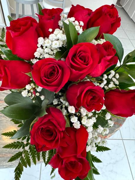 istock Red long stem roses for Valentines Day 2008259761