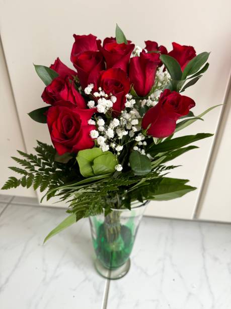 istock Red long stem roses for Valentines Day 2008259954