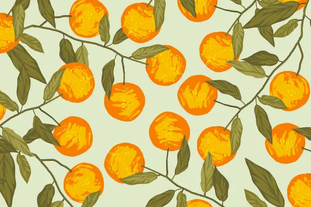 Vector illustration of Orange tree with fruits and flowers