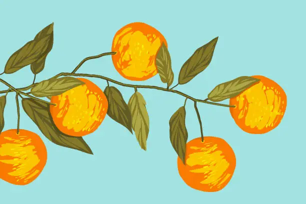 Vector illustration of Branch with oranges