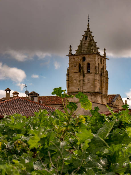istock Tower of a church. 2008270451
