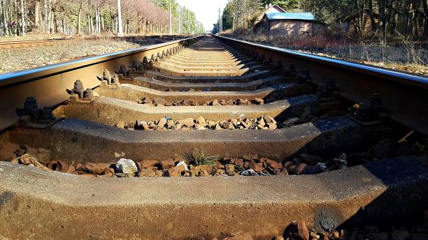 the rails of the branch line are intended for the movement of trains - railroad spikes 뉴스 사진 이미지