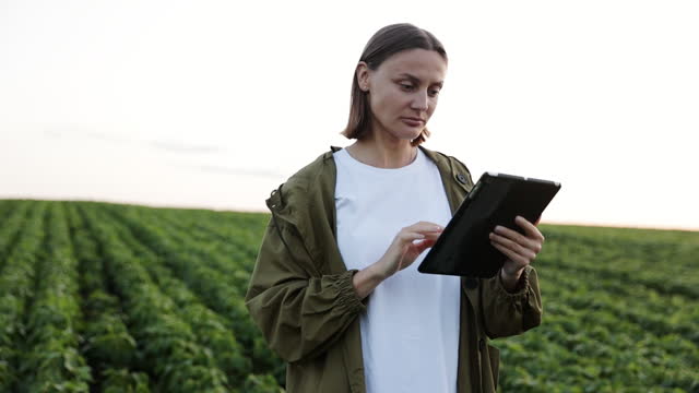 Smart farming soybean technology. Female farmer works with digital tablet, walks through field with rows of organic soya green plants. Agribusiness and agriculture modern concept. Agronomist on farm.