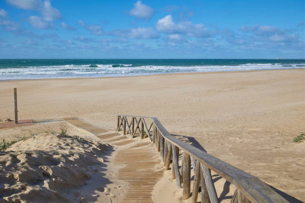 istock Wide sandy beach on the ocean 2008362544