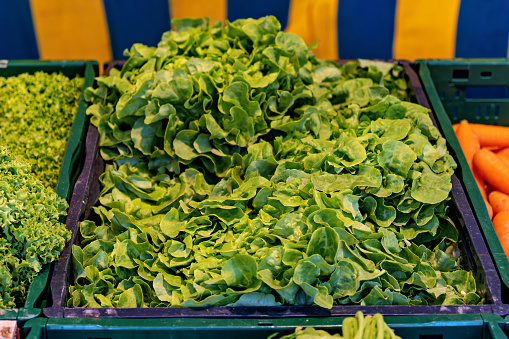 Pile of green lettuce sitting on top of wooden table.