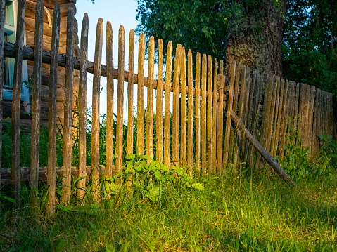 Close-up of an old wooden fence in the countryside in the evening at sunset. Village landscape.