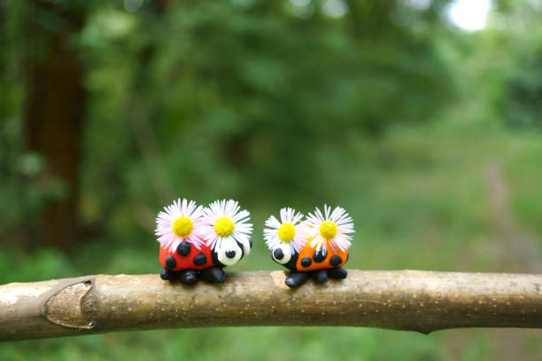 Two ladybugs with chamomile flowers. A symbol of summer.