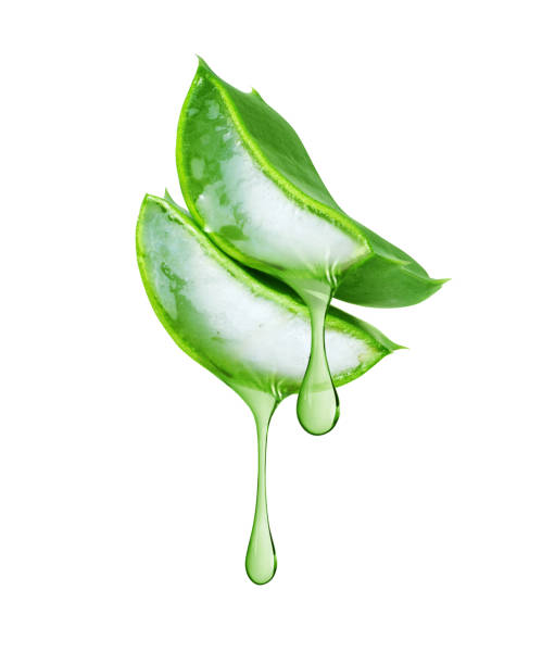 istock Thick drops of juice leaking from a sliced Aloe Vera leaf close up, isolated on a white background 2008389934