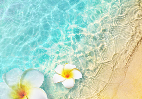 White flowers on the summer beach in sea water. Summer background. Summer time.