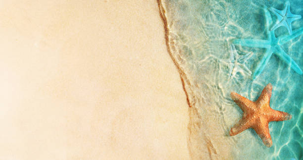 istock Starfish on the summer beach in sea water. Summer background. 2008392105