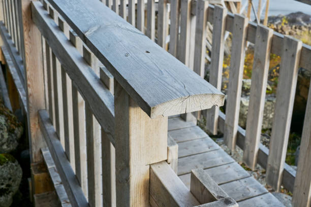 Wooden bridge walkway in the forest